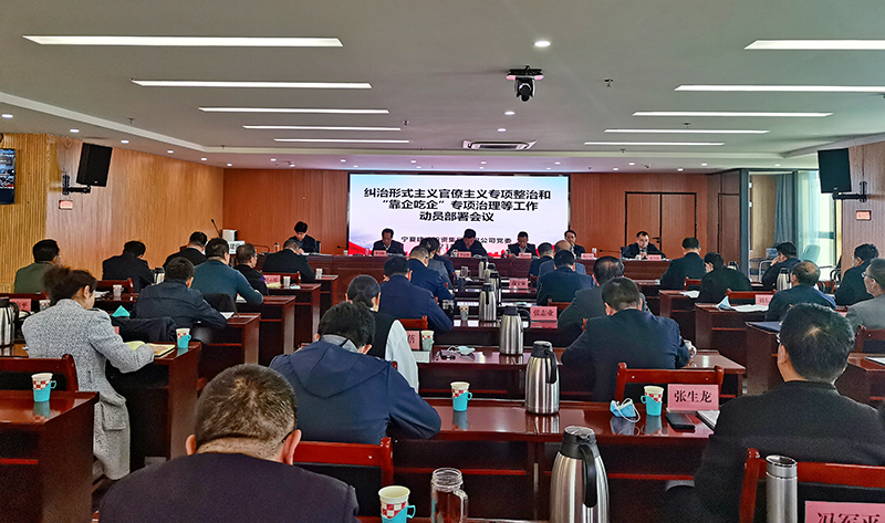 寧夏建投黨委召開糾治形式主義官僚主義專項整治和“靠企吃企”專項治理等工作 動員部署會議