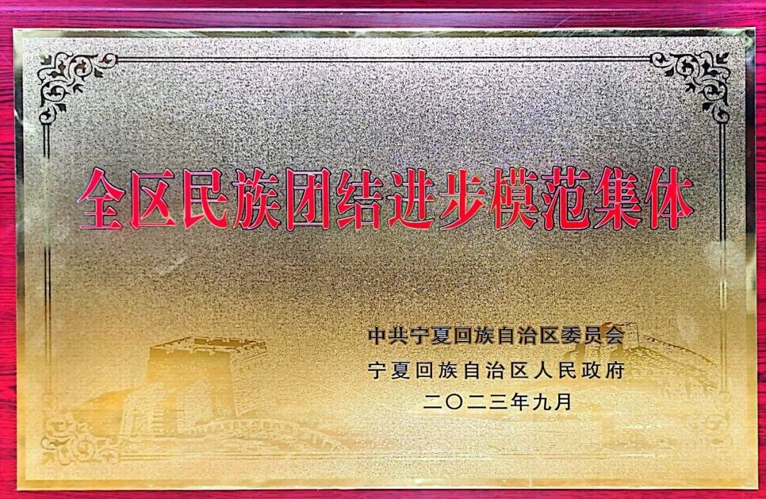 “四項(xiàng)行動”繪出民族團(tuán)結(jié)新畫卷——寧夏第一建筑有限公司黨委榮獲“全區(qū)民族團(tuán)結(jié)進(jìn)步模范集體”先進(jìn)事跡